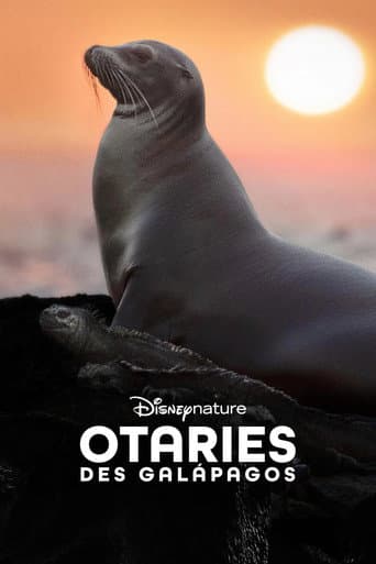 Otaries des Galápagos poster