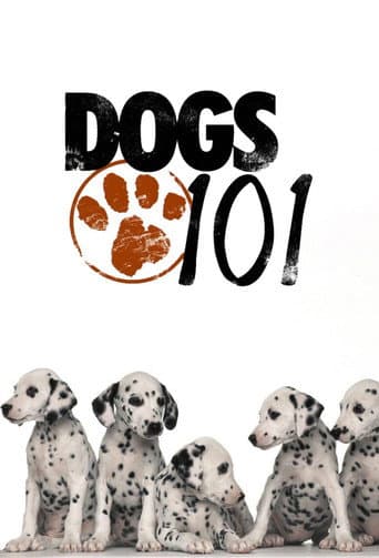 Chiens mode d'emploi poster