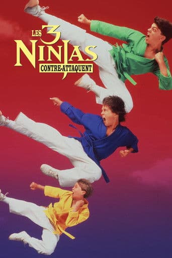 Ninja Kids 2 : Les 3 Ninjas contre-attaquent poster