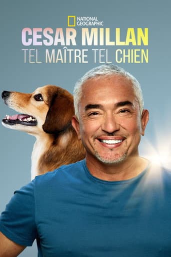 Cesar Millan: Tel Maître, Tel Chien poster