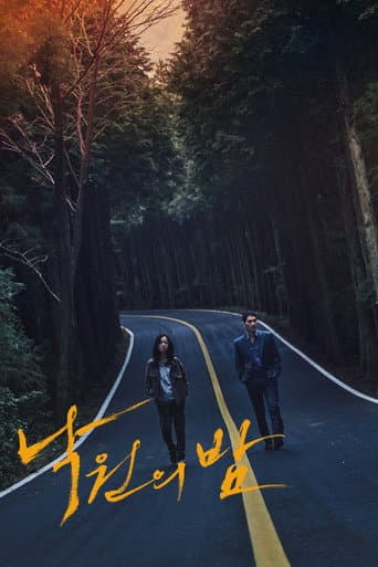 Night in Paradise poster