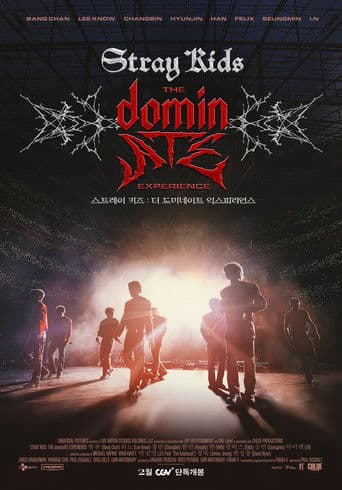 스트레이 키즈 : 더 도미네이트 익스피리언스 poster