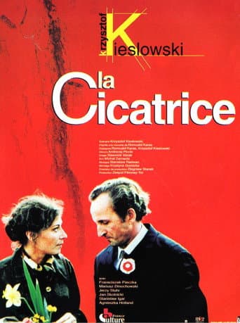 La Cicatrice poster