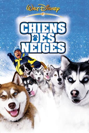 Chiens des neiges poster