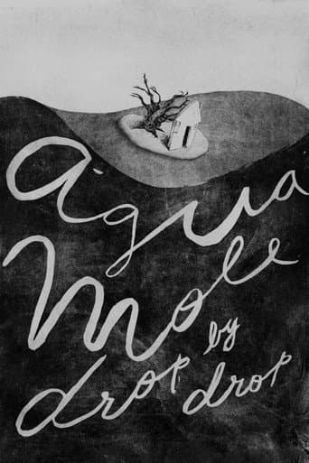 Água Mole poster