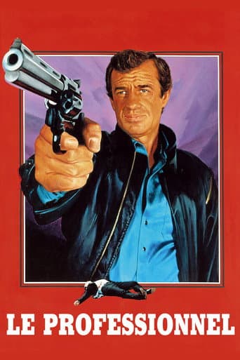Le Professionnel poster