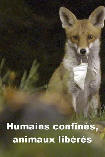 Humains confinés, animaux libérés poster