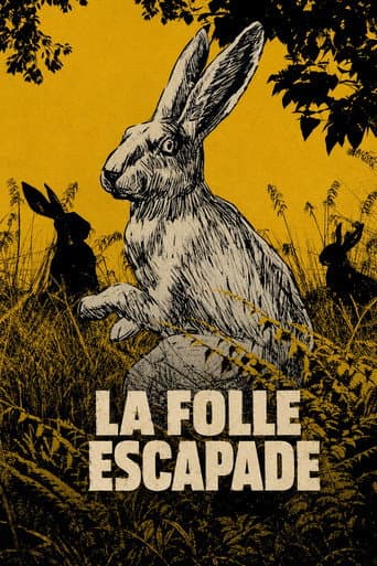 La folle escapade poster