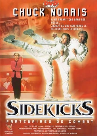 Sidekicks poster