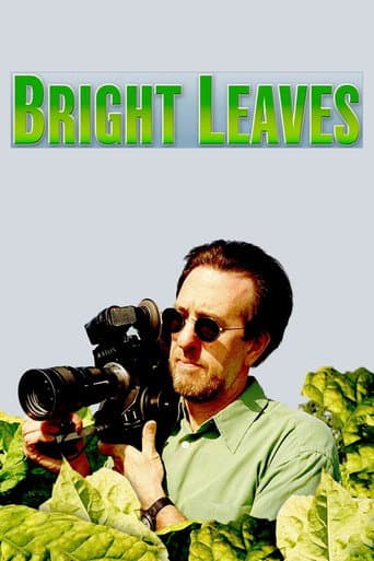 La Splendeur des McElwee poster