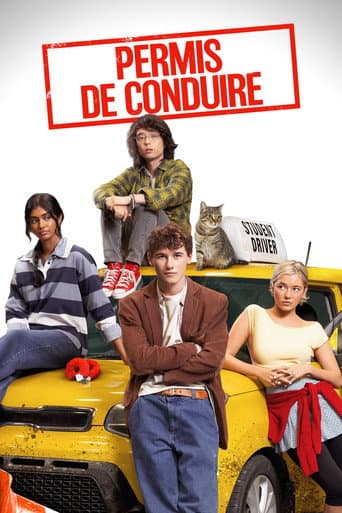 Permis de Conduire poster