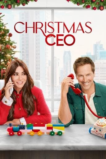 La PDG de Noël poster