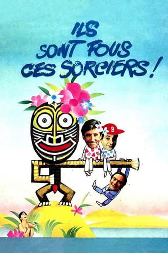 Ils sont fous ces sorciers poster