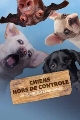 Chiens hors de contrôle : Un dresseur à la rescousse poster