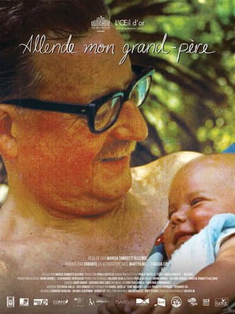 Allende mon grand-père poster