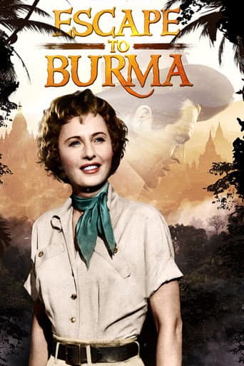 Les rubis du prince birman poster