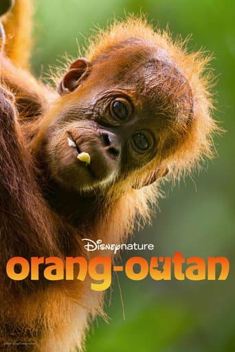 Orang-outan poster