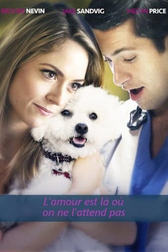 L'amour est là où on ne l'attend pas poster