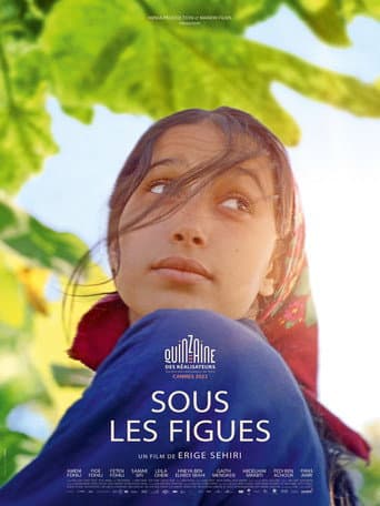 Sous les figues poster